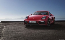  Porsche Cayman GTS,  , , , 