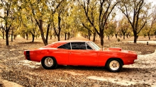  Dodge Charger,   1969 , ,  , , , , 
