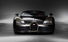  Bugatti Veyron Grand Sport Black Bess, , , 