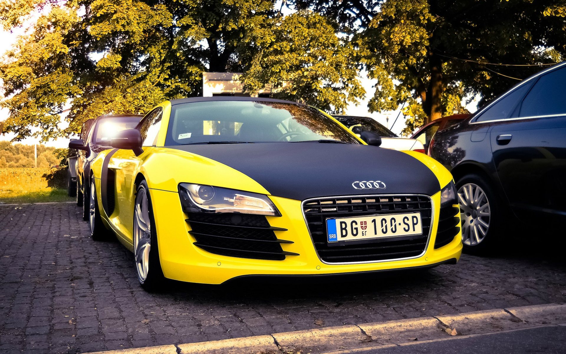 Желтый р. Audi r8 Yellow 2012. Ауди ТТ р8. Audi r8 желтая. Ауди а8 желтая.