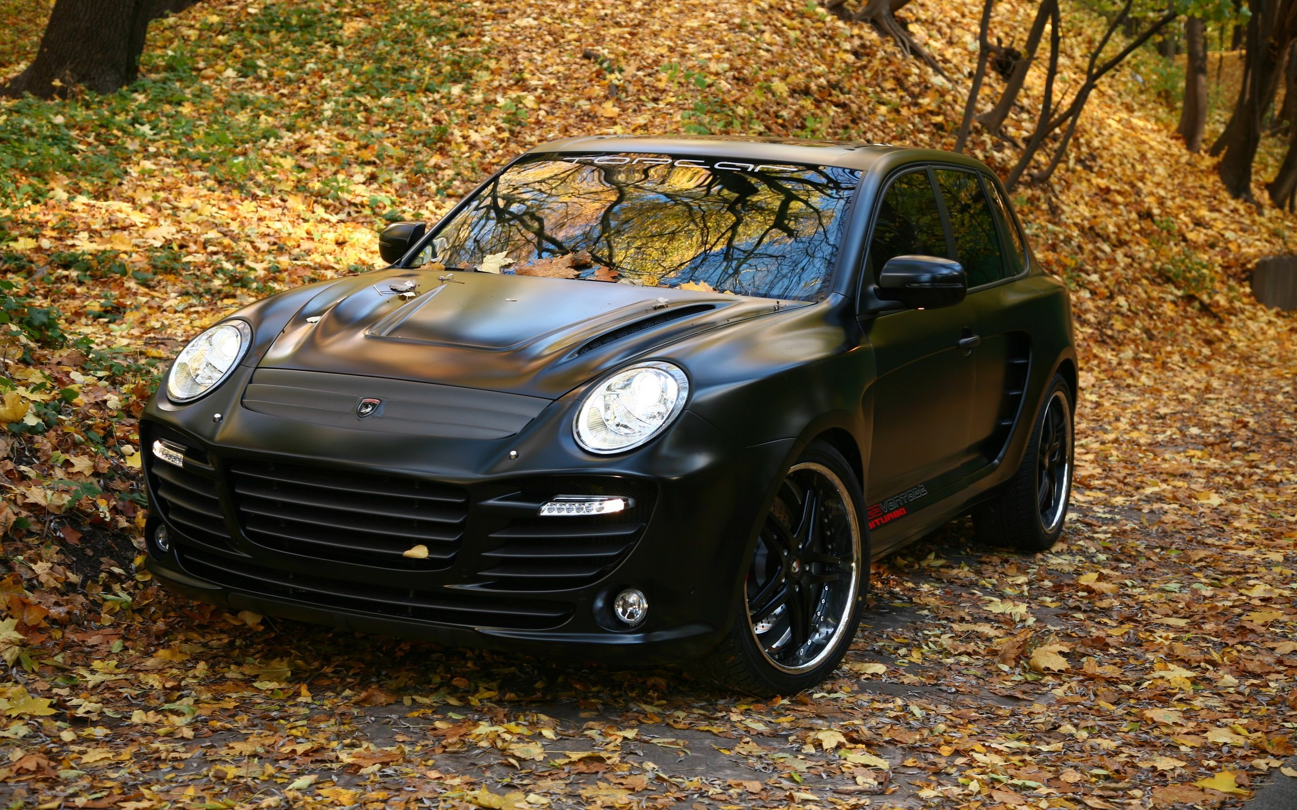 Porsche 911 autumn