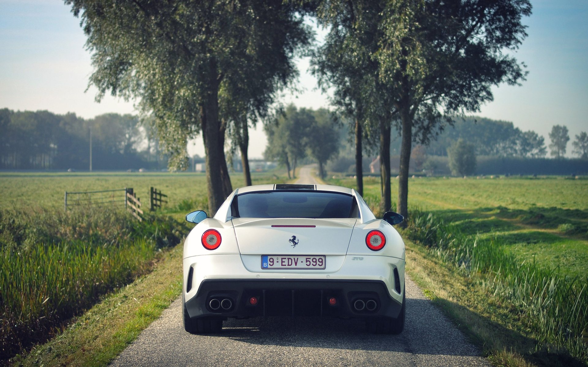 Ferrari 599 White