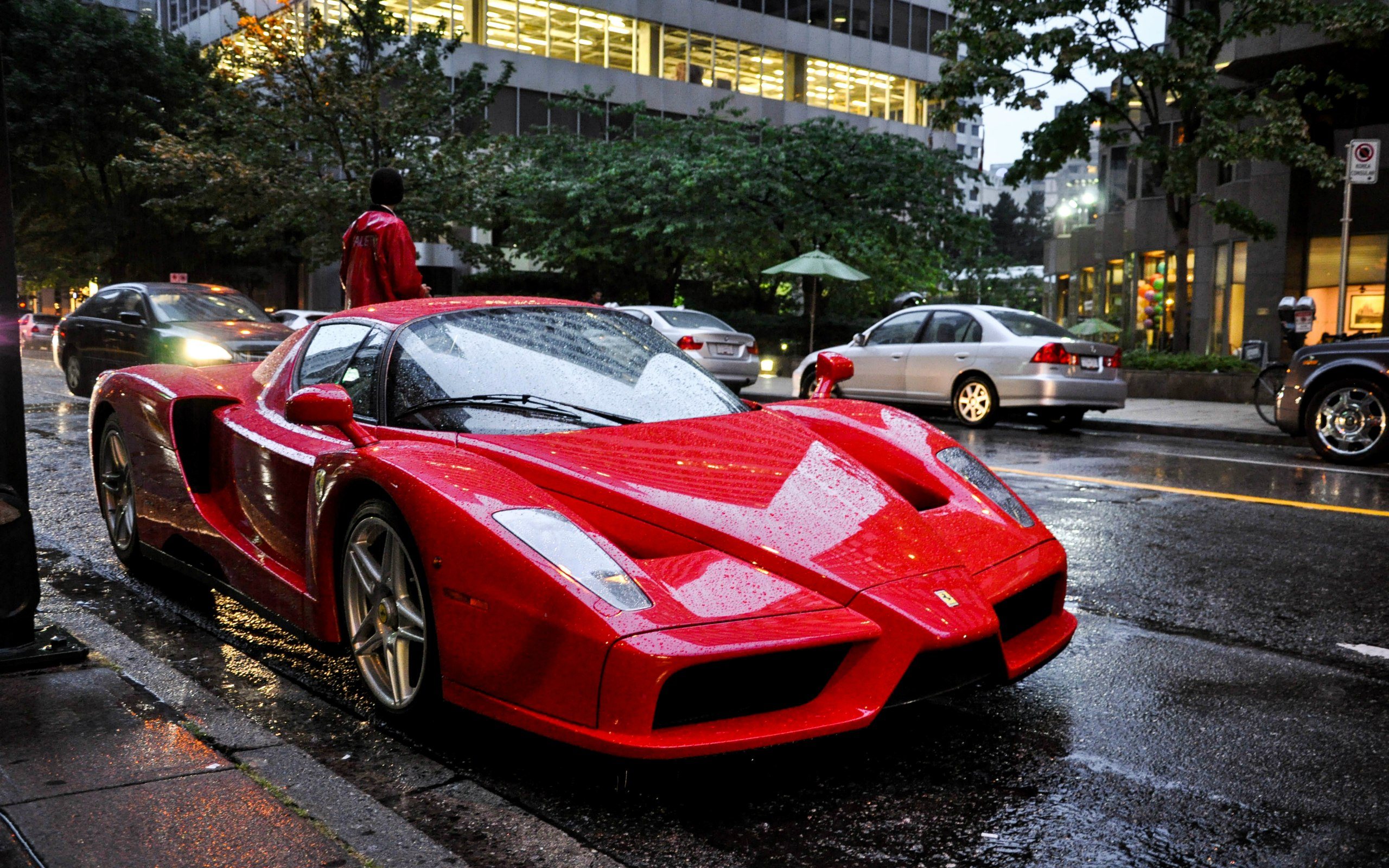 Enzo series