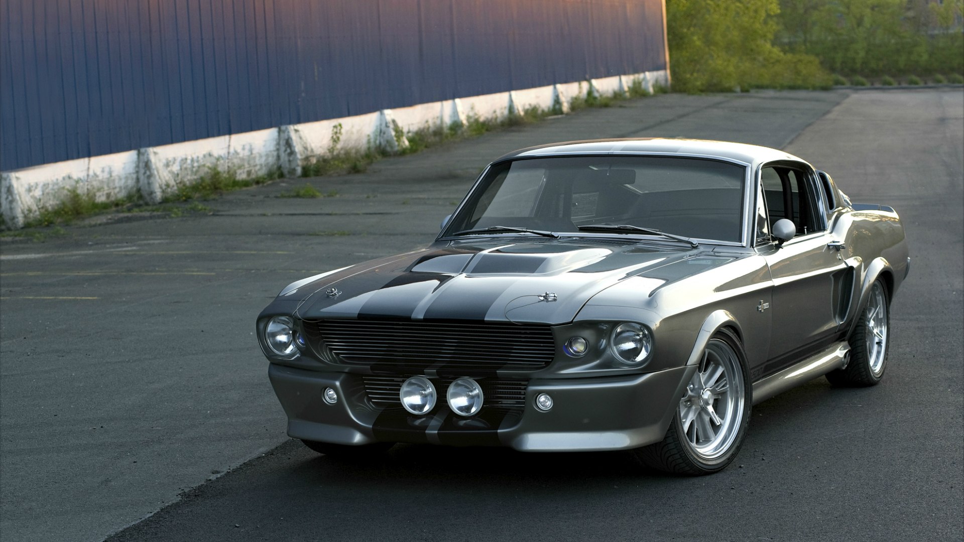 Ford Mustang gt500 Eleanor