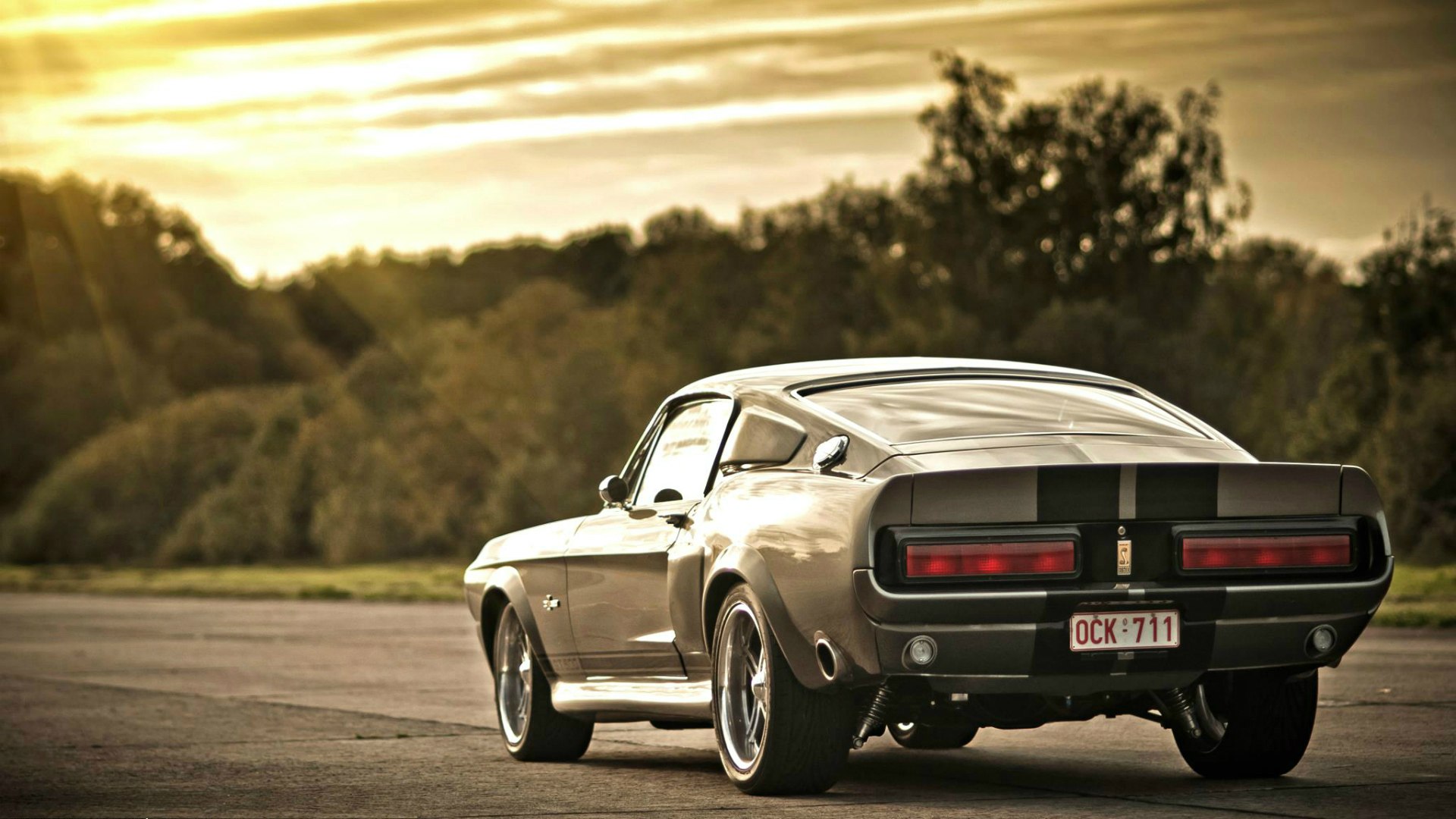 Ford Mustang Shelby gt500 на природе