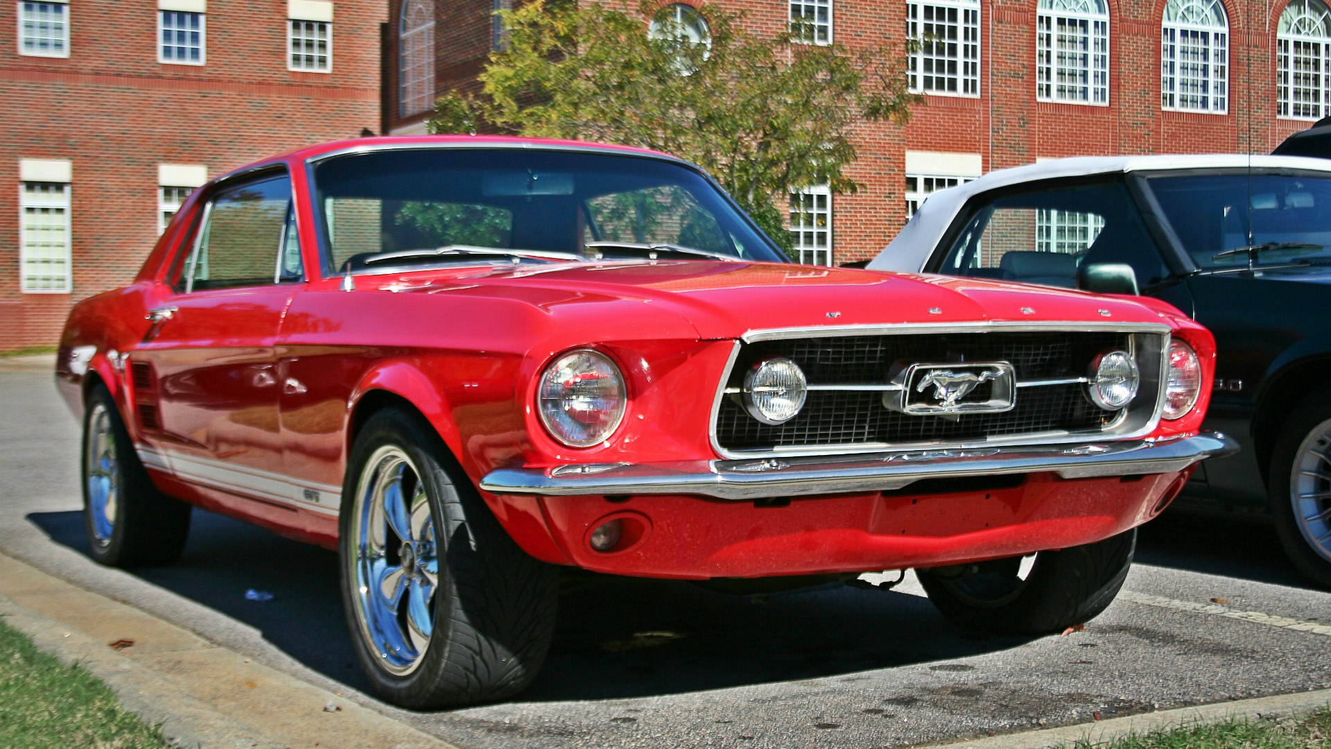 Ford Mustang Red 1965 Shelby