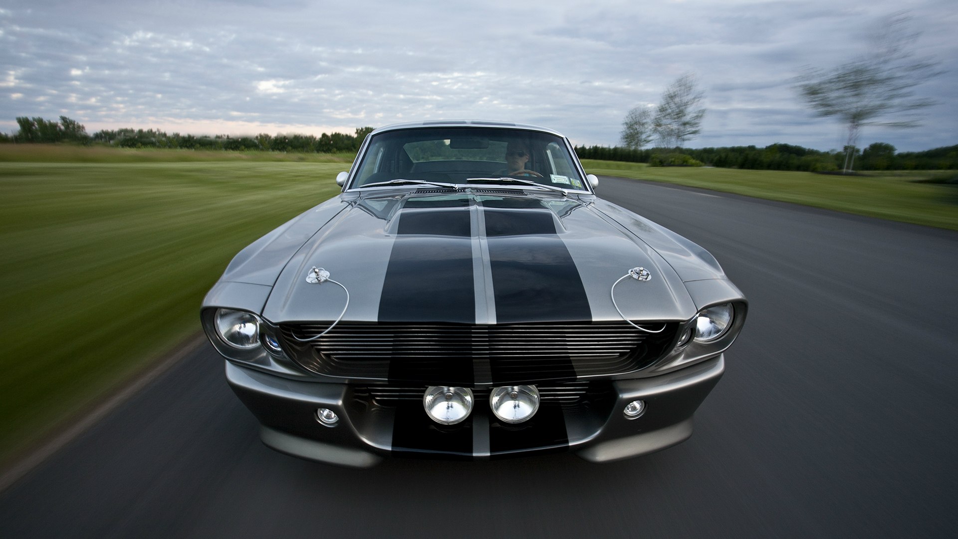 Форд Мустанг gt500 Shelby Eleanor