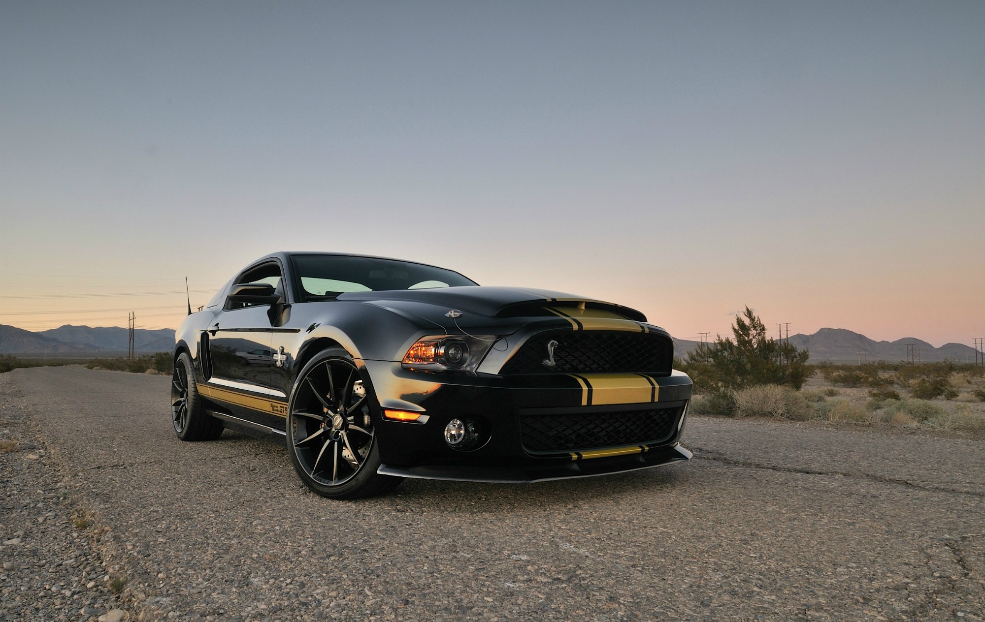 Shelby gt500 super snake 2013