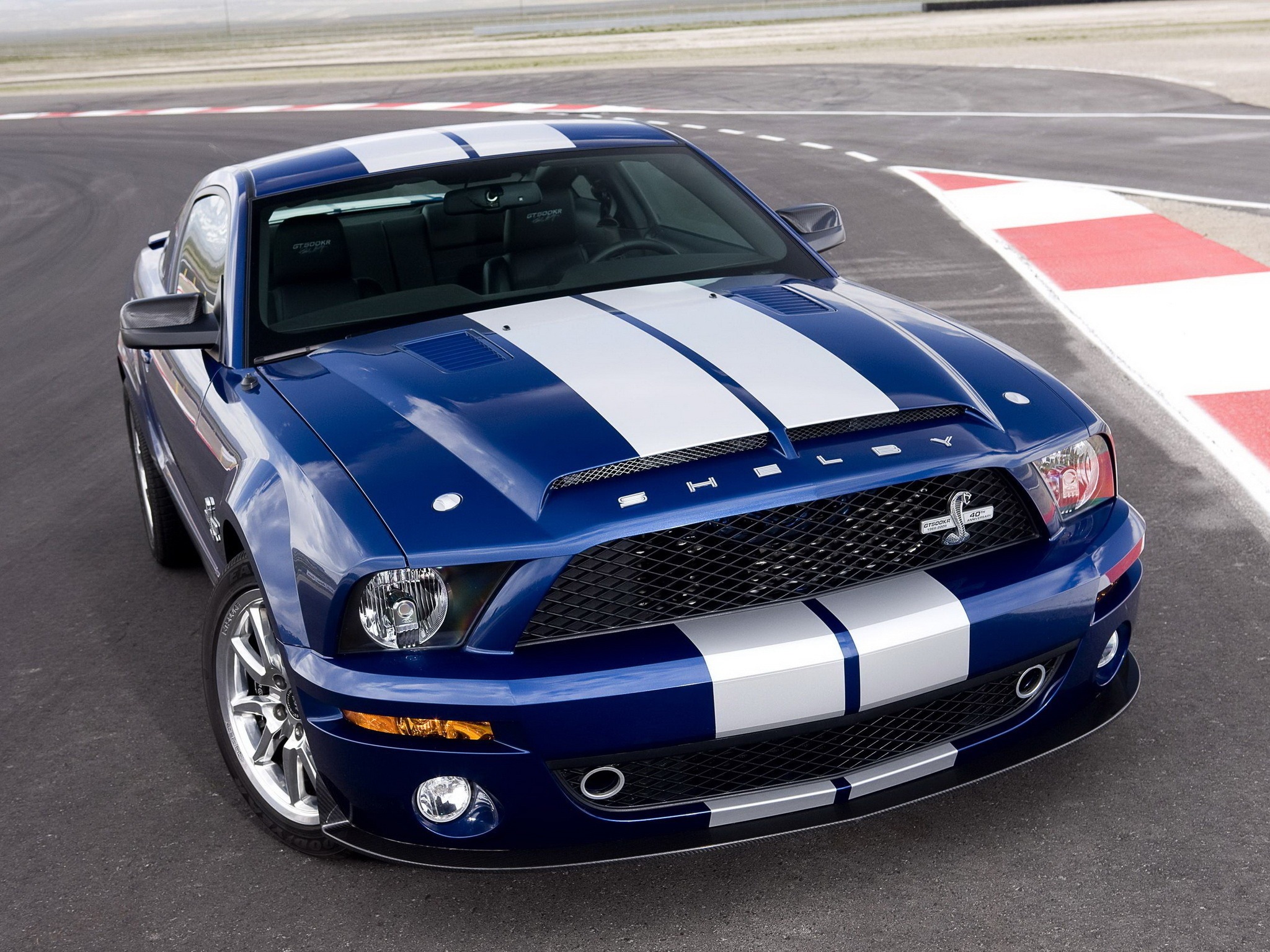 ford shelby