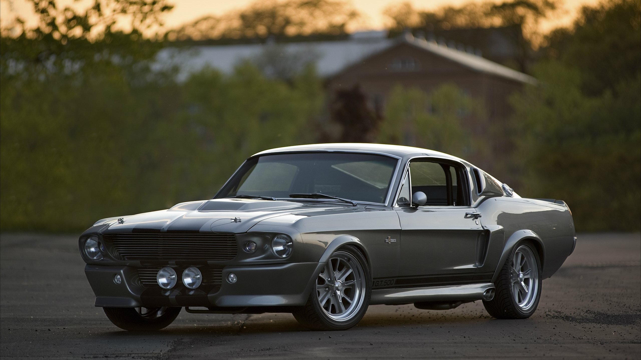 1969 Ford Mustang Eleanor