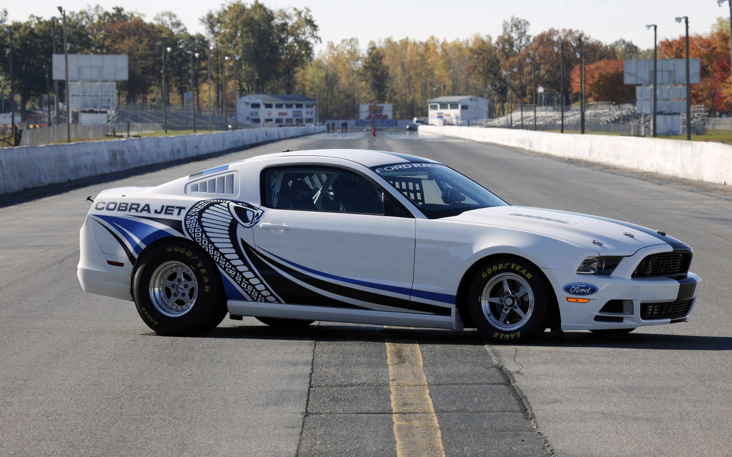 Ford Mustang Cobra Jet Twin Turbo, Ford Racing, Twin Turbo, шины, диски, .....