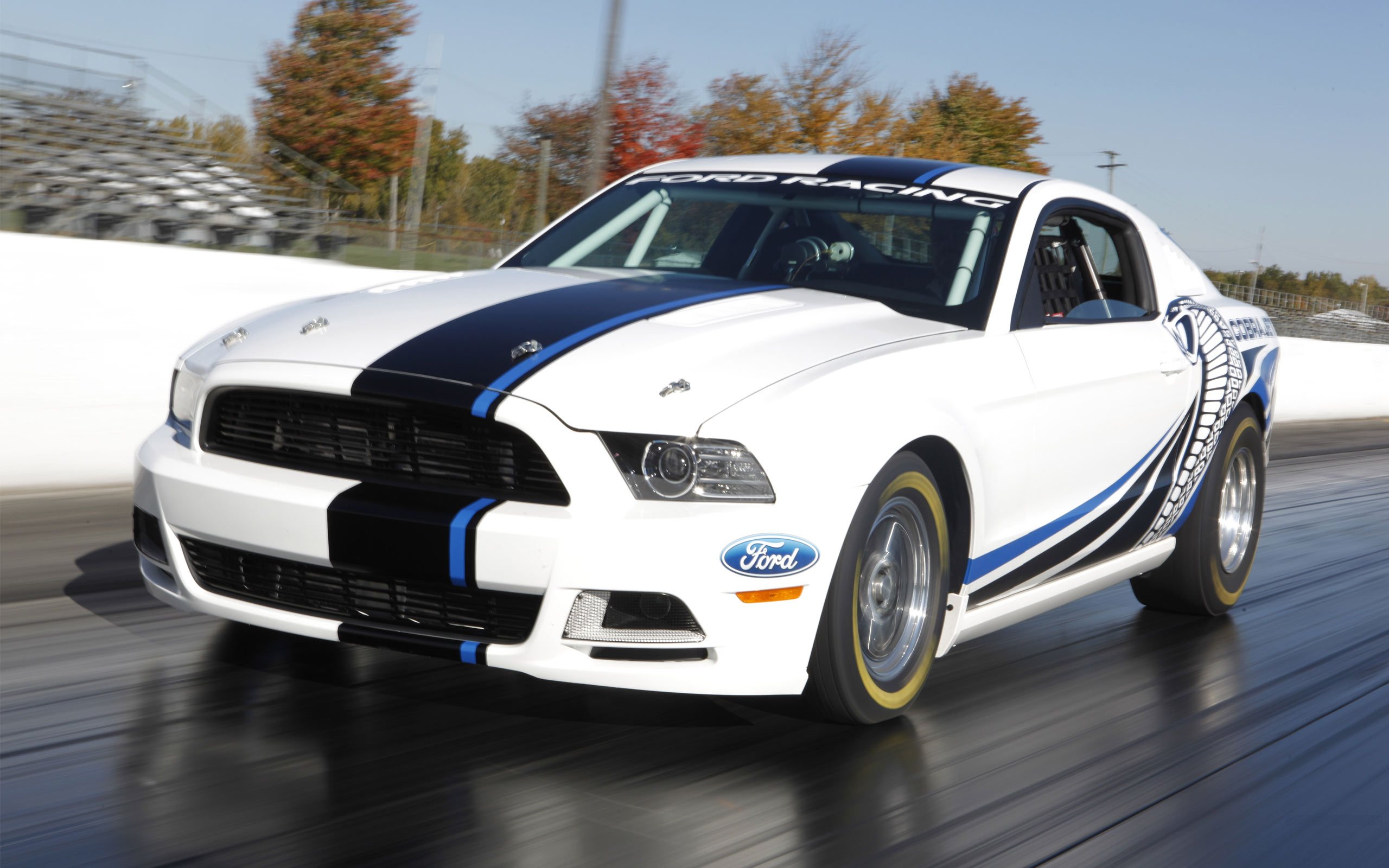 Ford Mustang Cobra Jet 2010