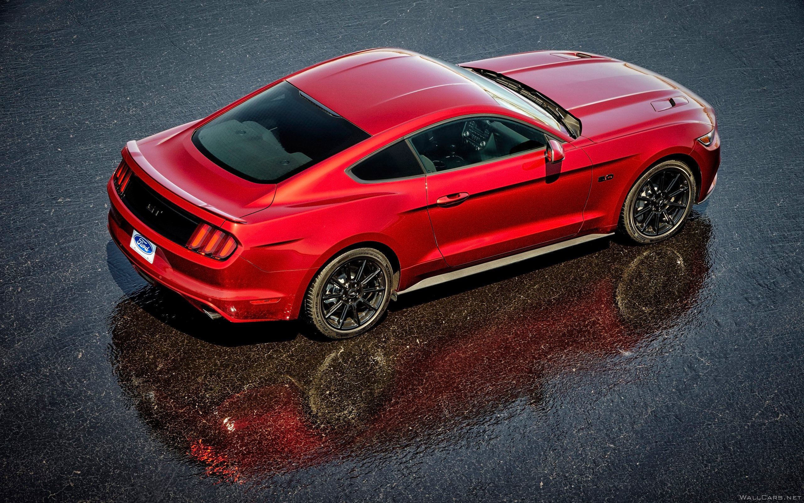 Красный Ford Mustang GT 5.0, 2016, асфальт, отражение, экстерьер, мощность, цвет