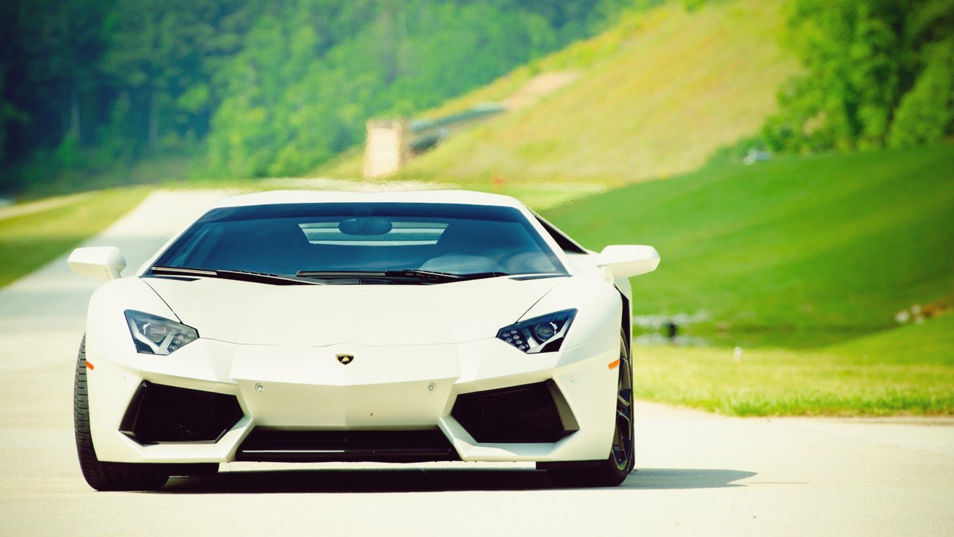 Lamborghini Aventador Р±РµР»С‹Р№