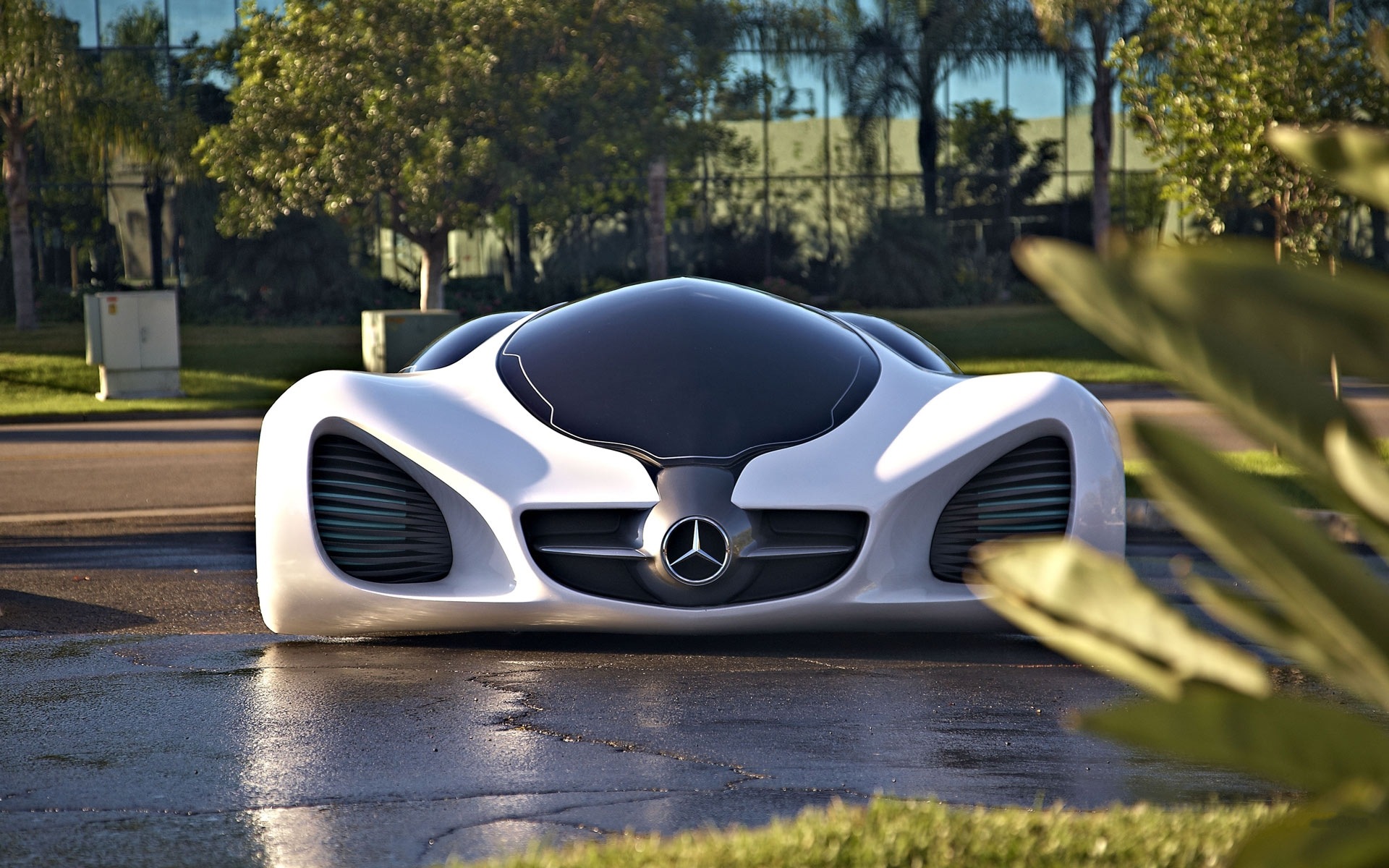 Mercedes Benz Biome Concept