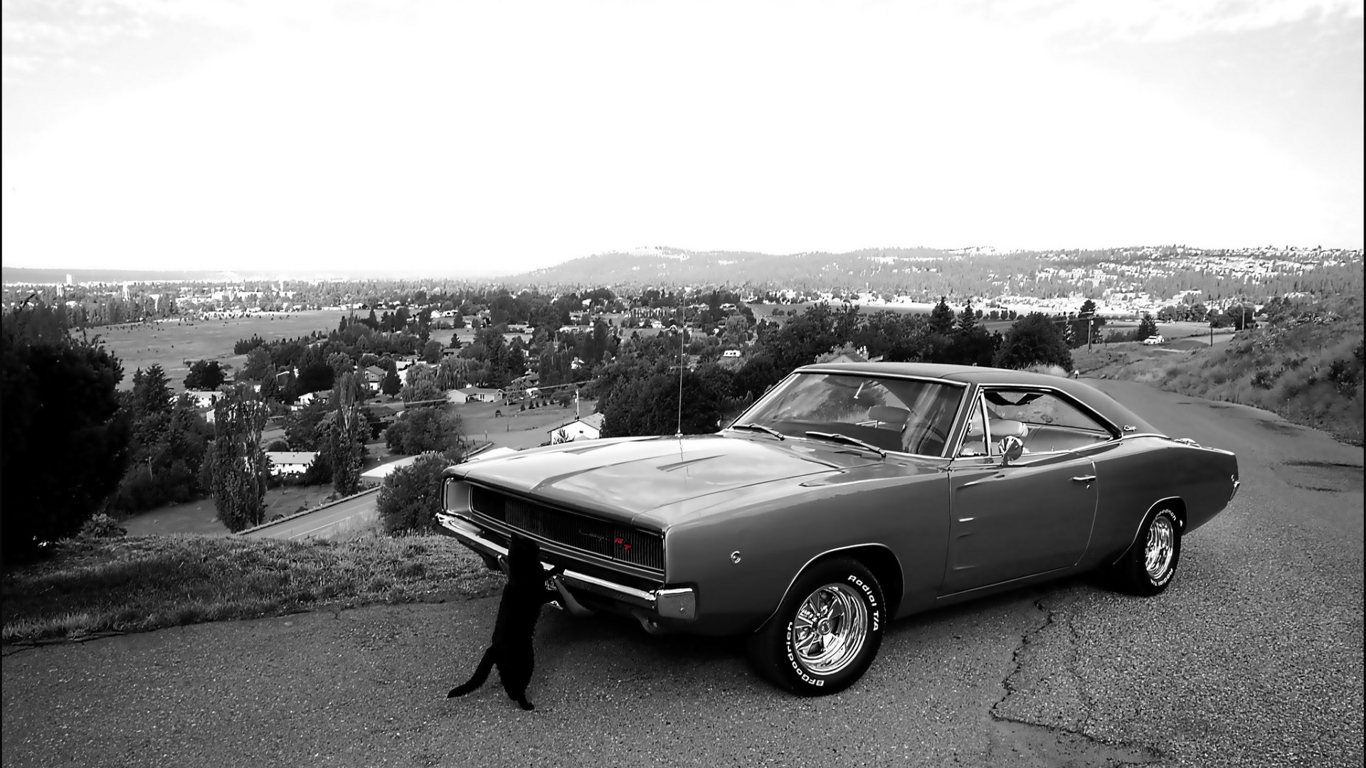 Машина джордж. Додж Чарджер 1968. Додж Чарджер 1970. Dodge Charger 1968 r/t. Dodge Charger III, 1968.