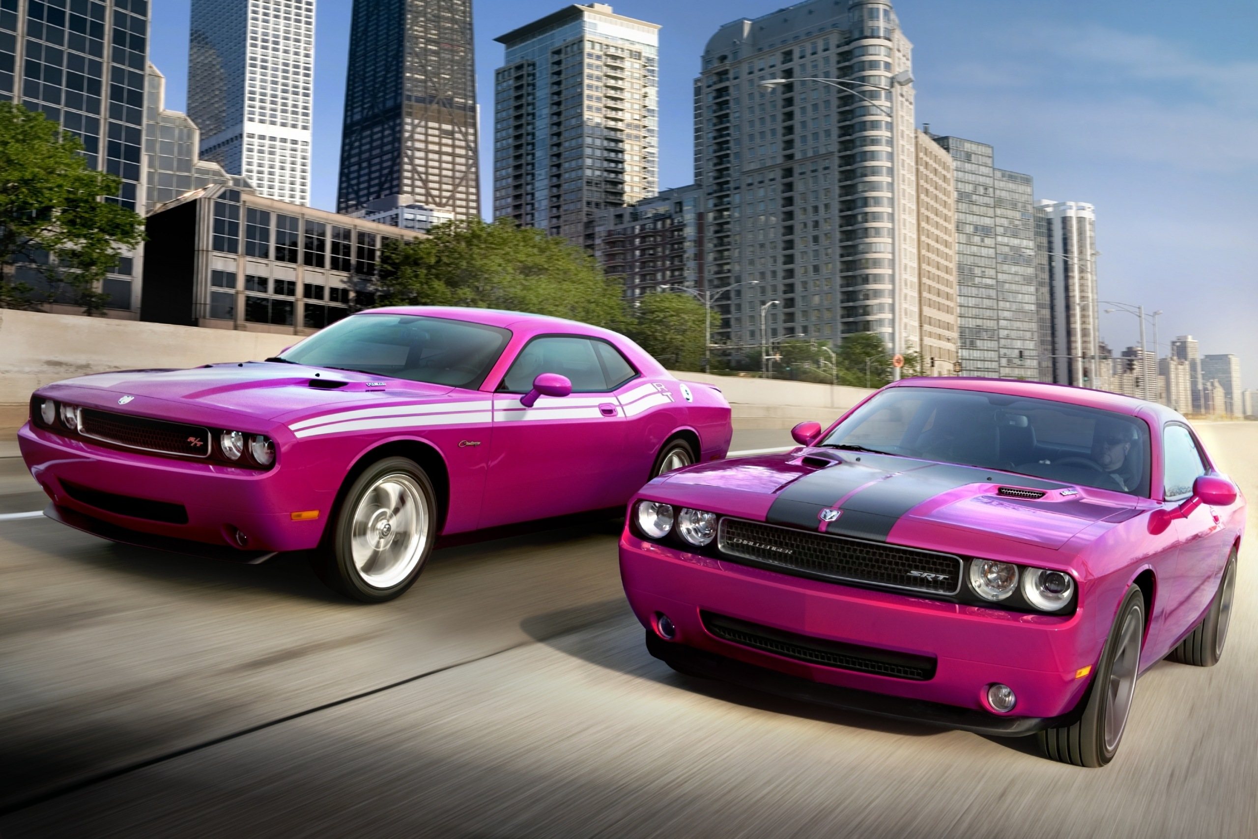 Dodge Challenger 2010