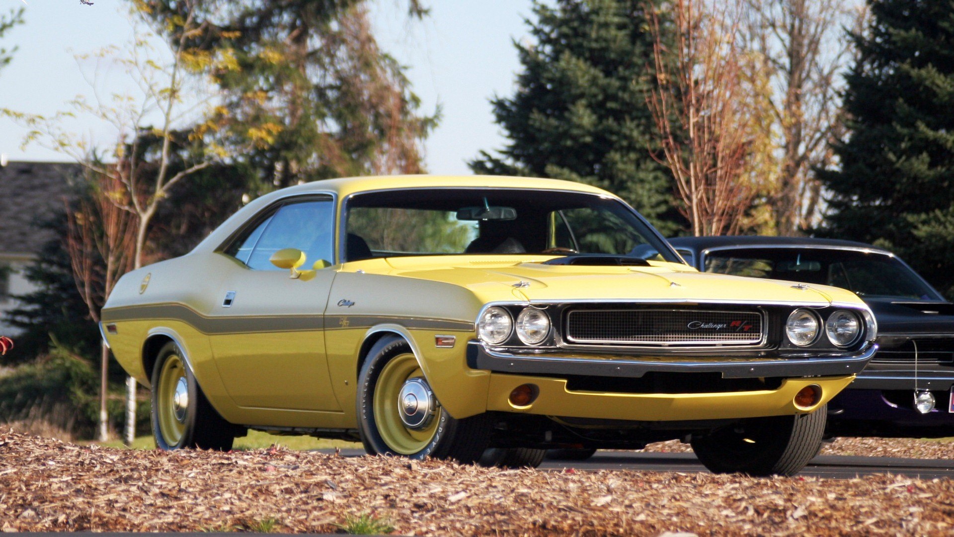 Dodge Challenger 1969 Р¶РµР»С‚С‹Р№