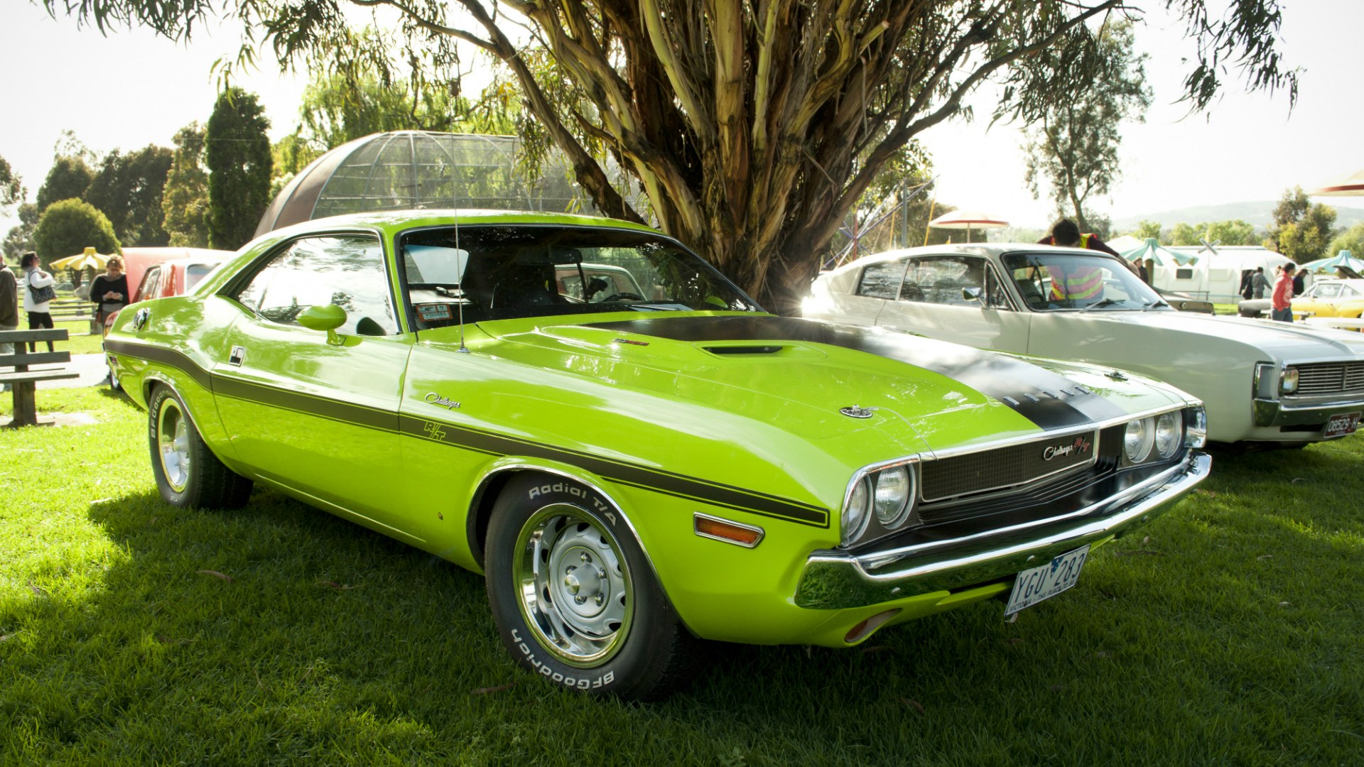 dodge challenger r t 1970