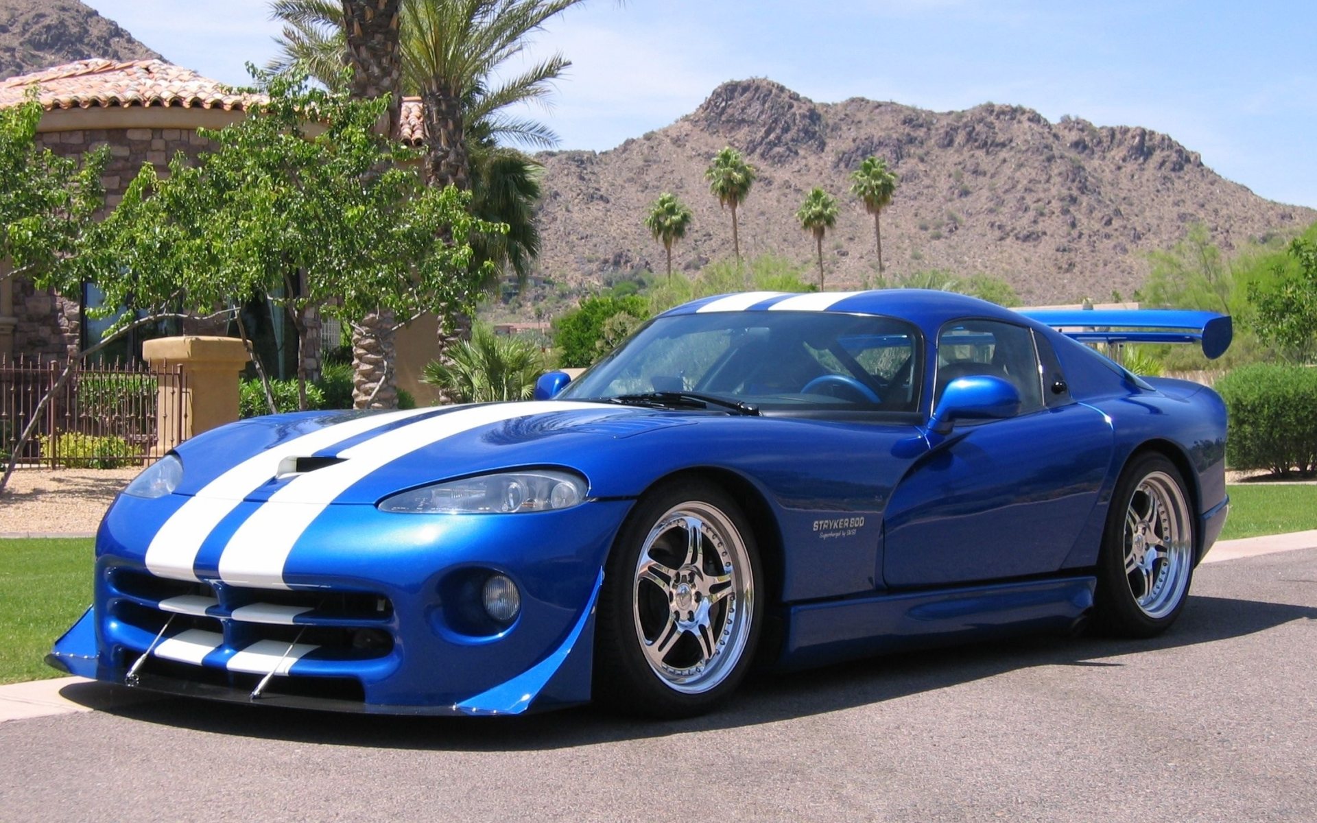 Dodge viper фото