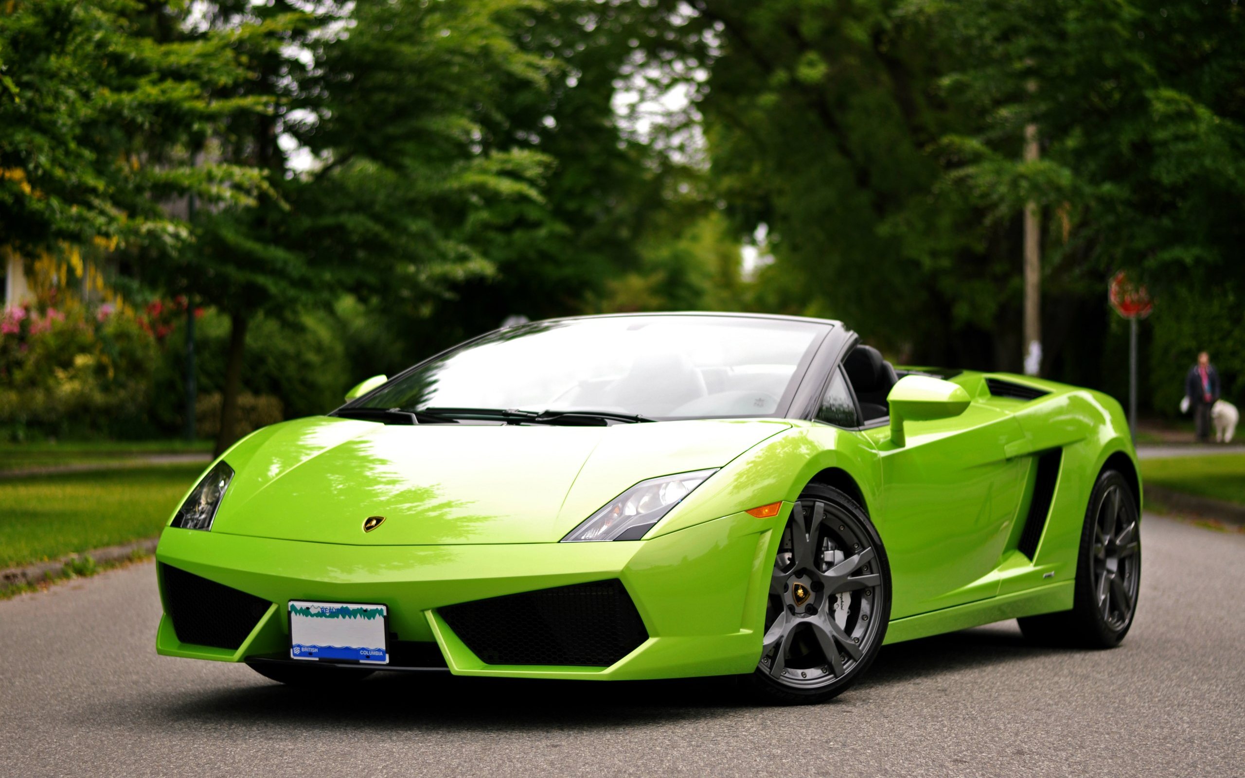 Lamborghini Aventador Green