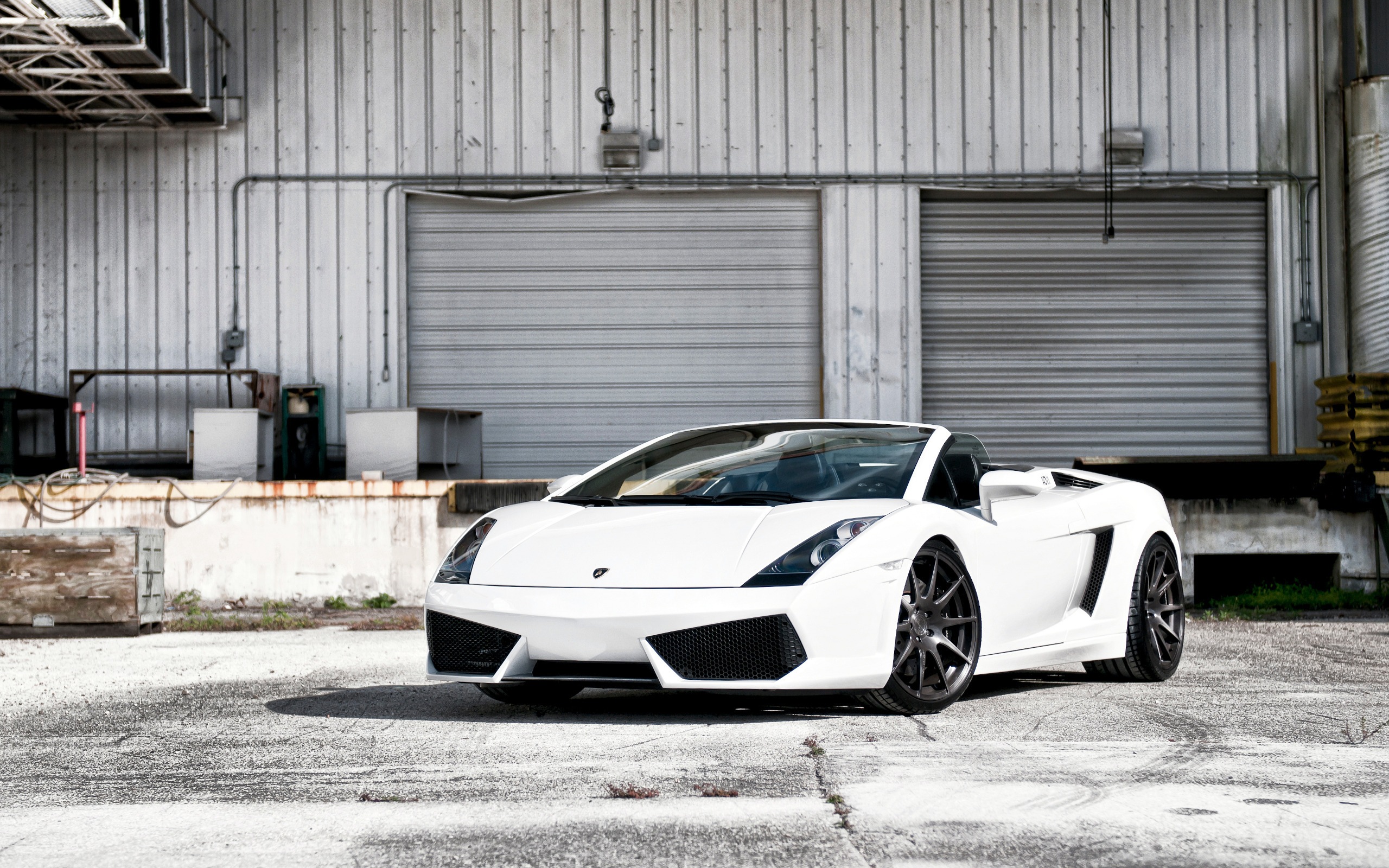 gallardo lamborghini