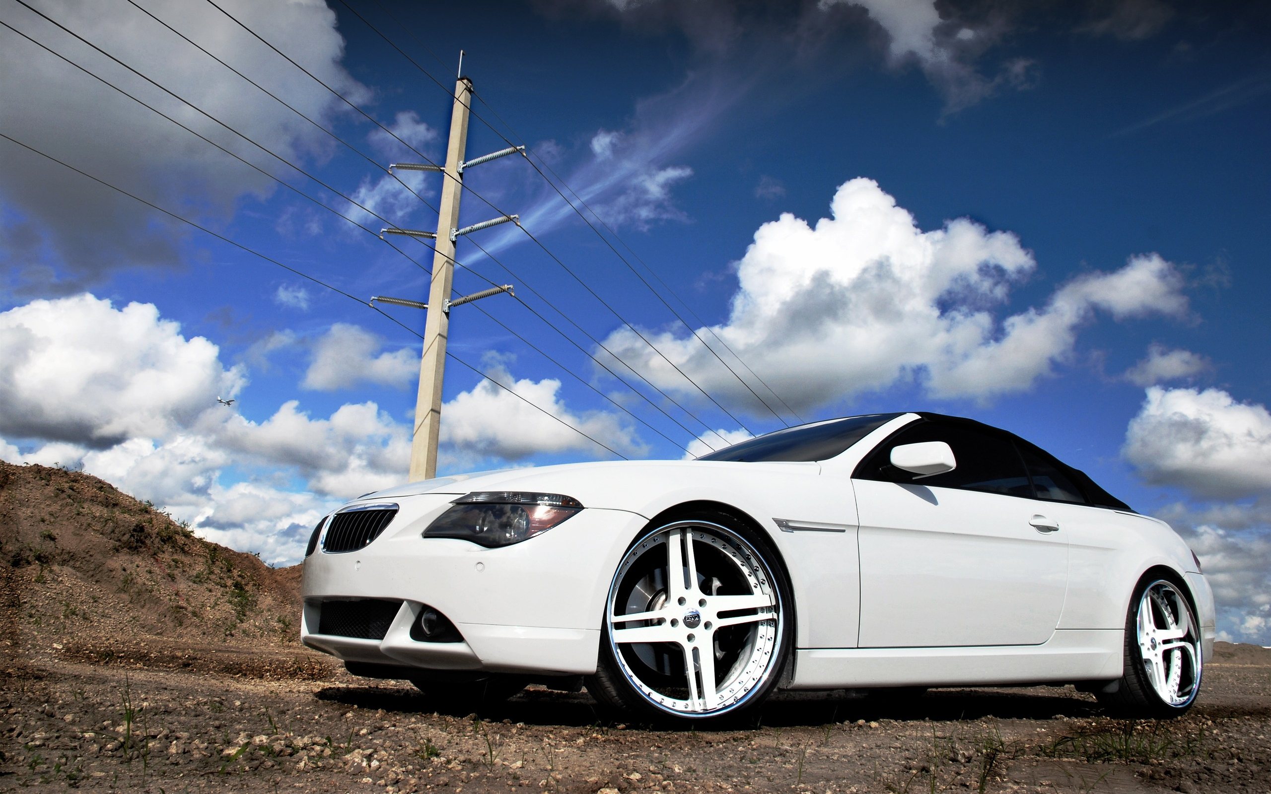 BMW 5 Series White Fon