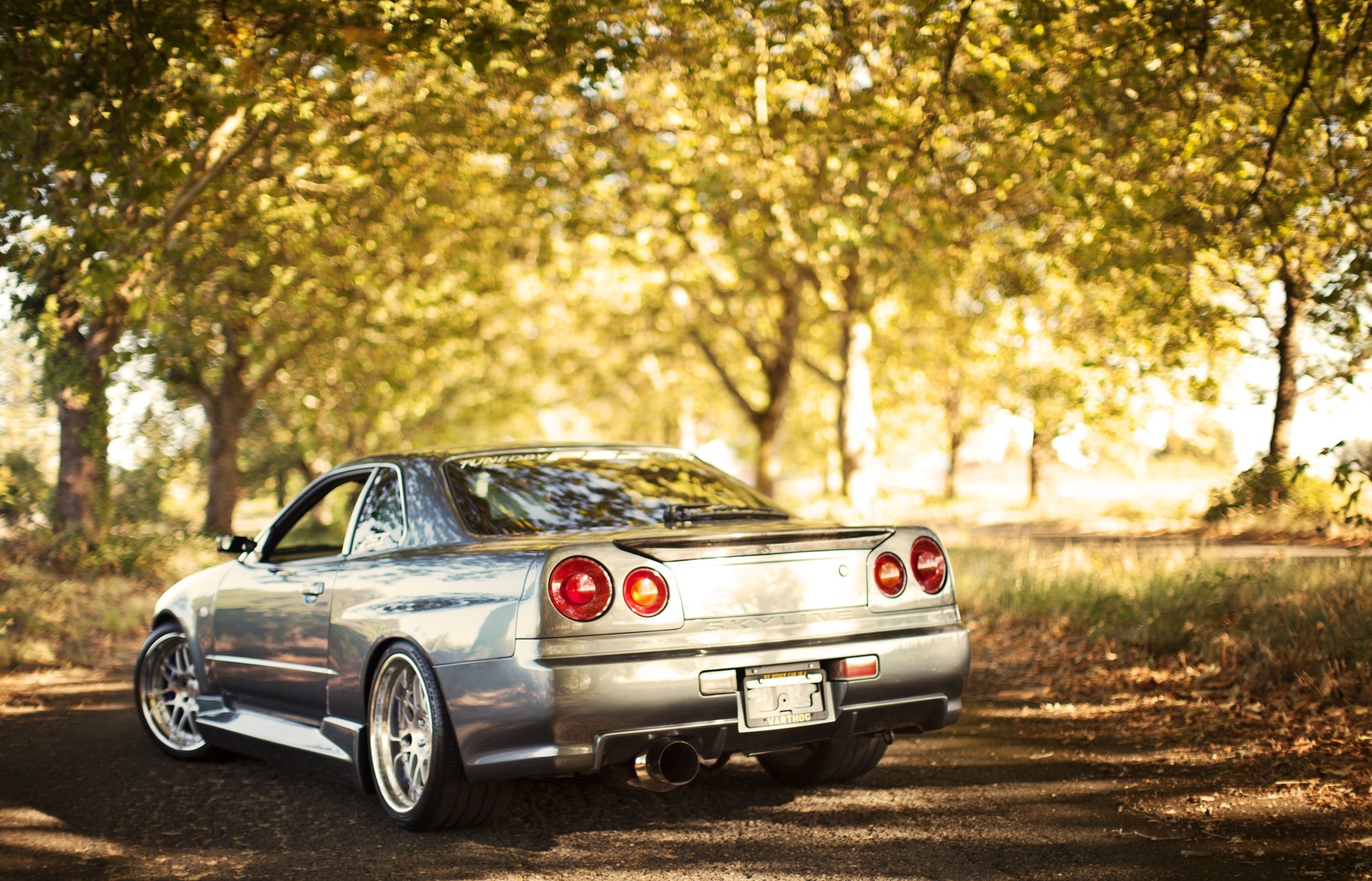 Nissan Skyline r34 природа