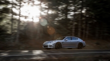 Porsche Panamera 4S,  , , , , 