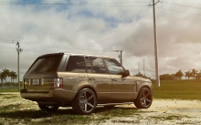 Бежевый Рендж Ровер, Range Rover, тонировка, диски, поле, трава, небо, облака