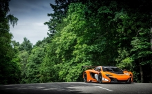  McLaren 650S GT3,  650, , , ,   , 